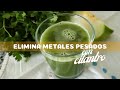 Elimina metales pesados con cilantro + preparando jugo verde en licuadora y respondiendo dudas!