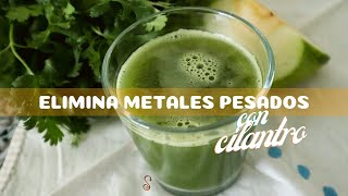 Elimina metales pesados con cilantro + preparando jugo verde en licuadora y respondiendo dudas!