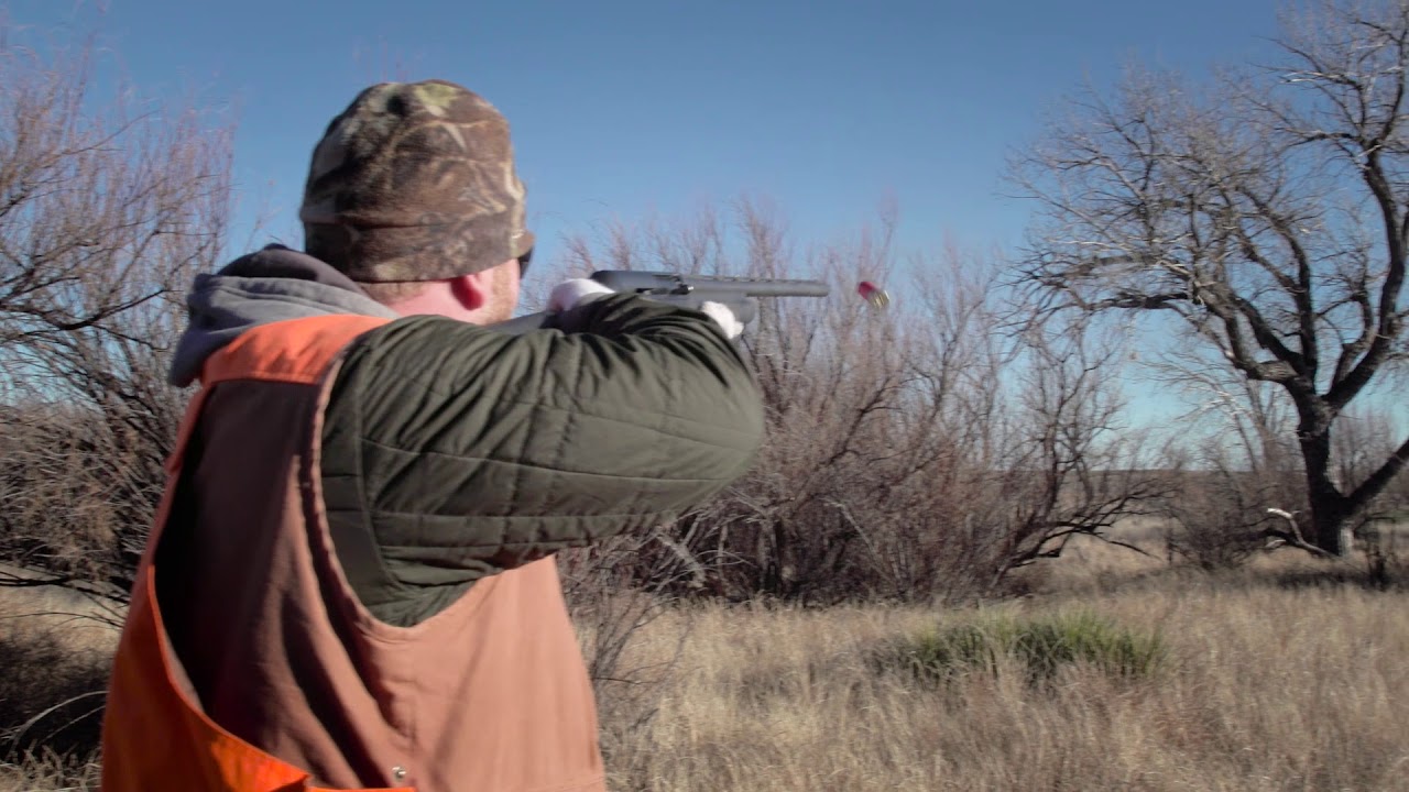 CIMARRON VALLEY RANCH QUAIL HUNT SIZZLE YouTube
