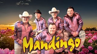 GRUPO MANDINGO - Mix Romanticas 2024 🌹 Exitos Sus Mejores Canciones De Grupo Mandingo