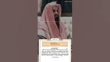 سورة النصر بصوت رعد الكردي