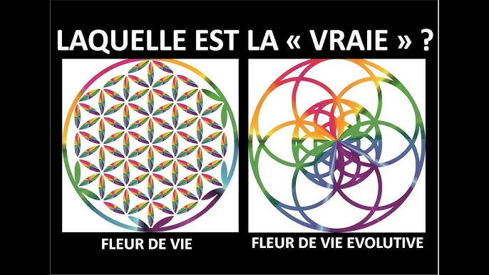 Colorer une Fleur de Vie - Part II 