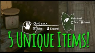 5 Unique Items! | Green Hell