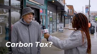 What is the Carbon Tax? | The Agenda