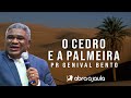 Pr Genival Bento | Salmo 92, A Palmeira e o Cedro