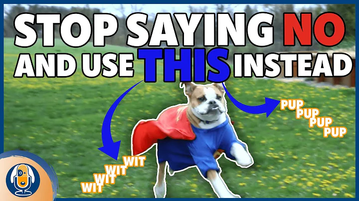 Stop Your Dogs Unwanted Behaviors With This Positi...