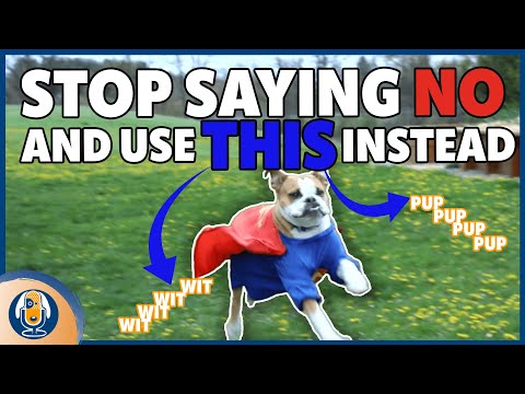 Video: Sådan træner du din hund til at synge