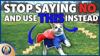 Stop Your Dog’s Unwanted Behaviors With This Positive Interrupter #158 #podcast