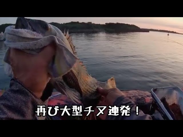 実釣：チヌ】2024年7月21日の宮崎港 - YouTube