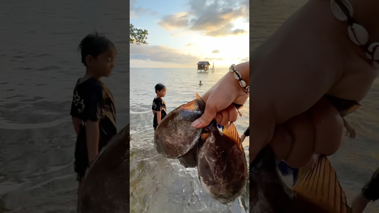 Di kasih ikan sama anak laut