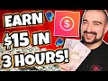 EARN $15 IN 3 HOURS With This App! - Poll Pay Review (Earn Money From Home 2021)