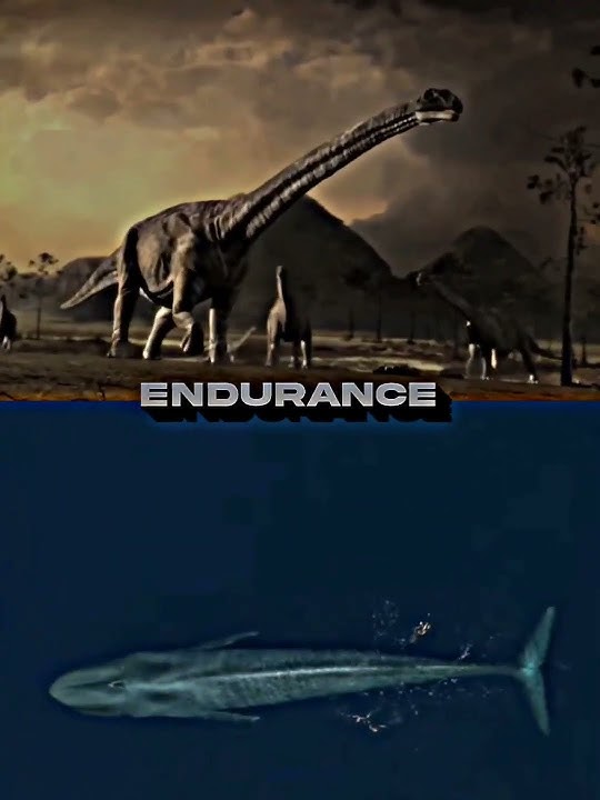 Argentinosaurus vs Blue whale #bluewhale #animals #argentinosaurus #dinosaurs #1v1 #fyp #shorts
