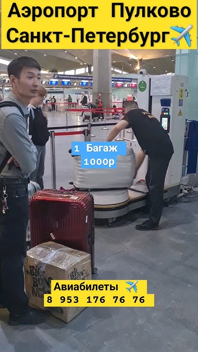 Аэропорт Пулково ️ Санкт-Петербург ️👮‍♀️🇷🇺🇰🇿🇺🇿🇹🇯🇰🇬😱 - YouTube