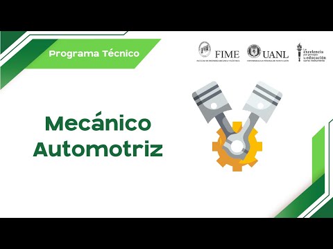 Programa Técnico en