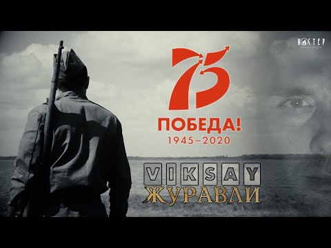 VIKSAY - Журавли |мood music video | 2020