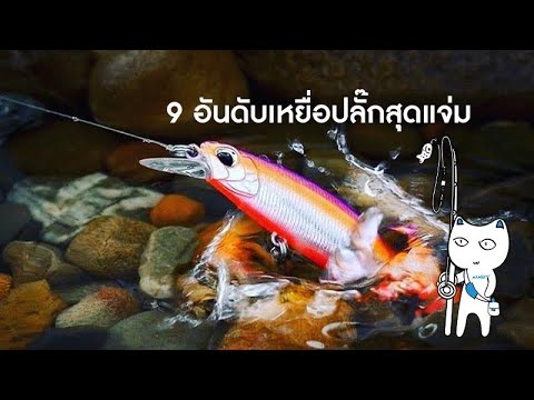 TOP 9 Hard Baits Minnow สำหรับกะพงบ้านเฮา