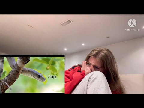 Video: Forstå Ophidiophobia: En Frygt For Slanger
