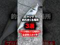 【炎上覚悟で教えます】今ブリがマジで釣れまくってる場所3選。。 #short #shorts