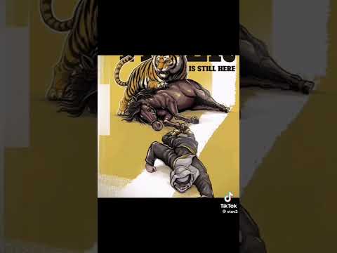 انت جيت ولا ربك اللي جابك