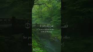 #pease full pace for every in natural #islamicvideo /Hayaa zahra 🥹♥️