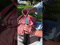 Warm weather Popsicle picnic trick! 🥰