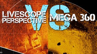 LiveScope Perspective VS. Mega 360  Garmin VS Humminbird