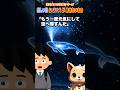 寂しい夜に送り犬が見せたいもの【送り犬のお仕事】