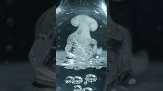 This is the triple point of water #science #physics #shorts
