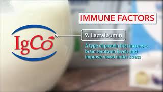 What Nutrients Are In Igco Colostrum Milk  Why Is It Called The Miracle Food 