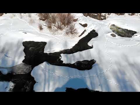 ревун - YouTube
