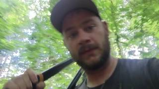 How to set up a deer lease