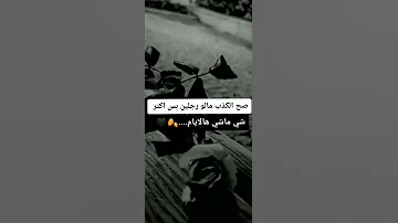 حالات واتس اب عن كذب 