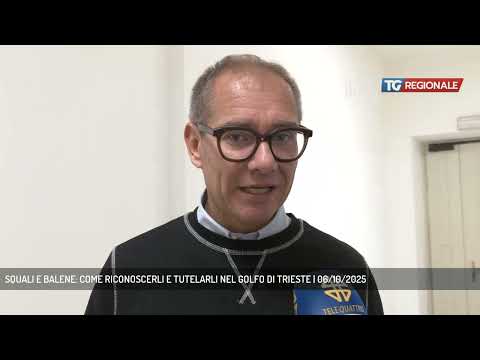 SQUALI E BALENE: COME RICONOSCERLI E TUTELARLI NEL GOLFO DI TRIESTE | 06/10/2025