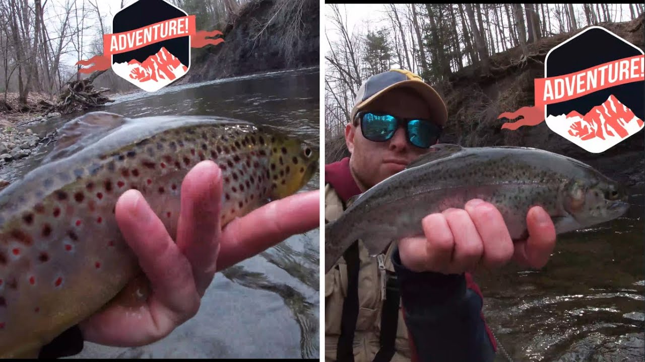 Longer Hikes = Bigger/Better Trout: Fly Fishing NY!