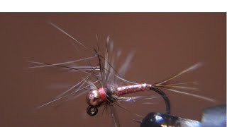 Rainbow Warrior soft Hackle Euro Nymph