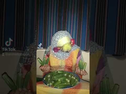 مروحش الغيط ده البامية شوكتني