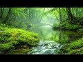 Crystal Stream Flowing in Deep Forest, Birds Singing, Calming Nature White Noise for Deep Sleep