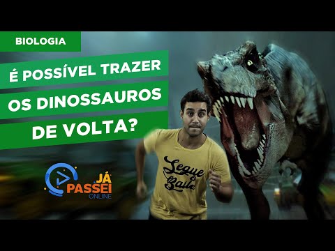 É possível trazer