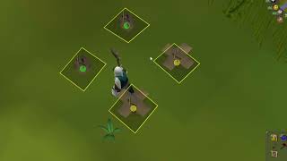 tick manipulation box traps osrs Net Worth
