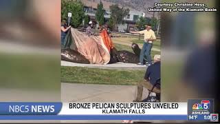 Unveiling of giant bronze pelican sculptures in Klamath Falls