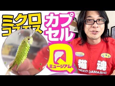 ガチャ】このディスプレイ最高！海洋堂カプセルQミュージアム ミクロ