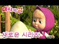 마샤와 곰 💥새로운 시리즈💥🐧 펭귄과의 만남 🐻👱‍♀️ 가족의 날 💕Masha and the Bear