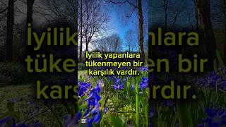 Kuran Meali Fussilet 8...12