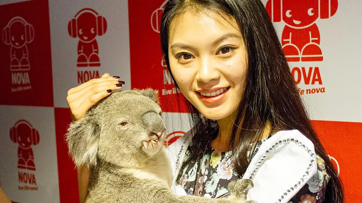 Miss World 2012 and a Koala