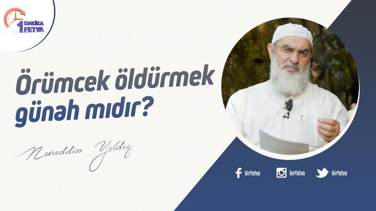 Örümcek öldürmek günah mıdır? | [Birfetva-Nureddin Yıldız] - YouTube