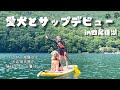 ゴルとアラサーのふたり暮らし🏠初めてのサップで大暴れ🏄♀️in山梨県四尾連湖
