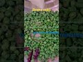 #BeansPalya #BeansSabzi #SouthIndianFood #CookingVideo #VegRecipe #LunchBoxRecipe #IndianCooking