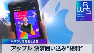 アップル 決済囲い込み“緩和” 米アプリ開発者と合意（2021年8月27日）