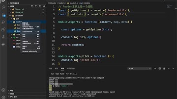 15 尚硅谷 webpack从入门到精通 获取&校验loader的options