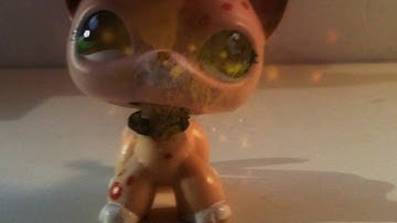 LPS - MEP Part 4 for LPS Haley Productions